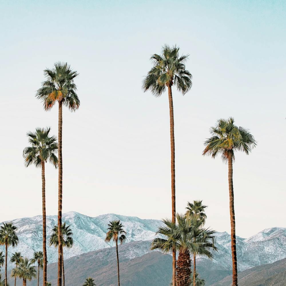 Snow On Desert Mountains