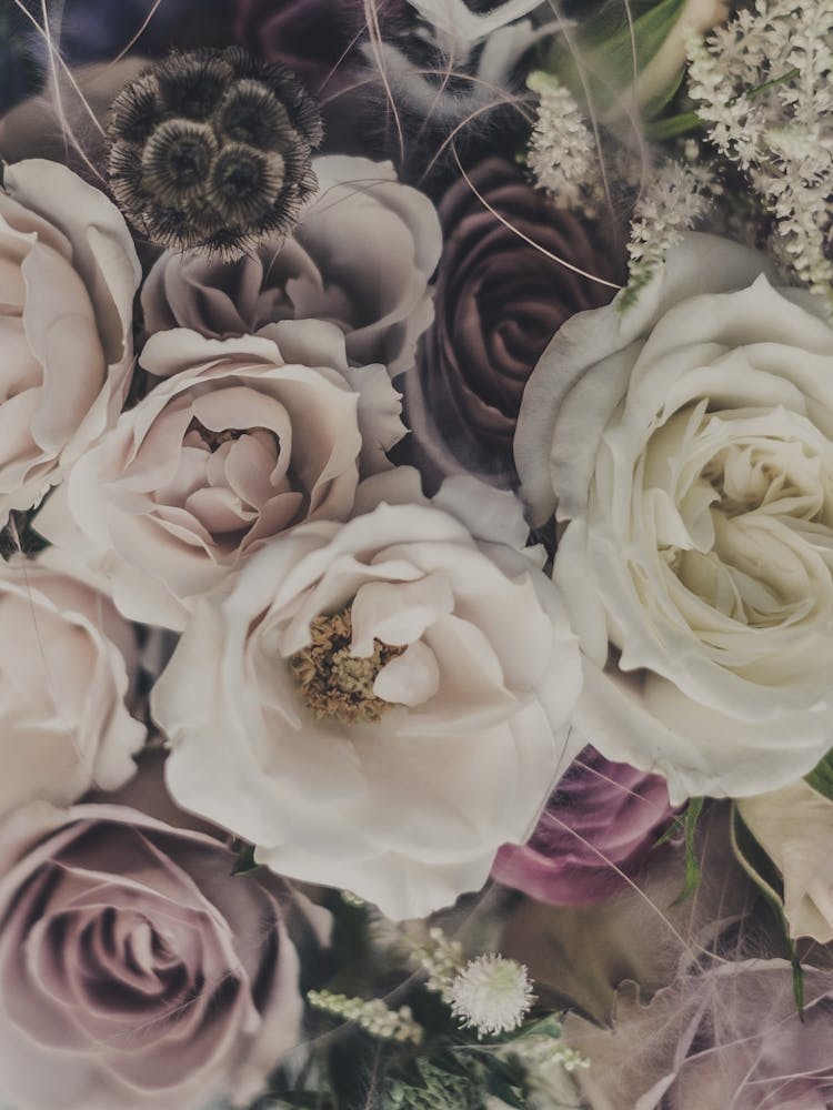 Roses And Dry Flowers Bouquet
