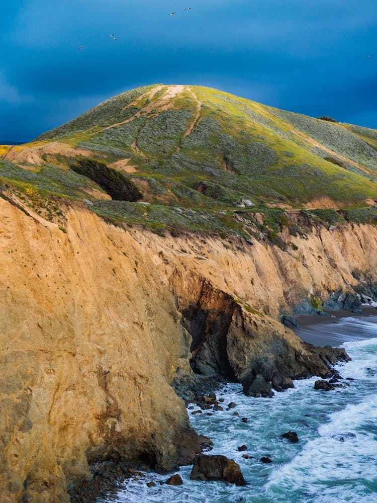 Mori Point