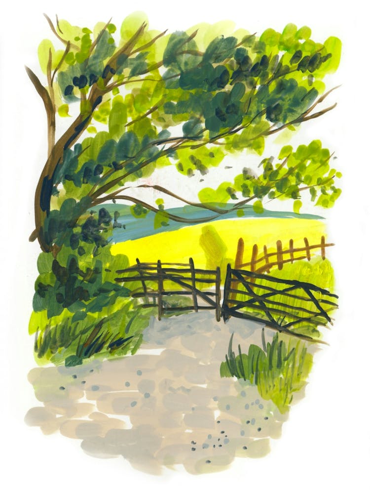 Yellow Field