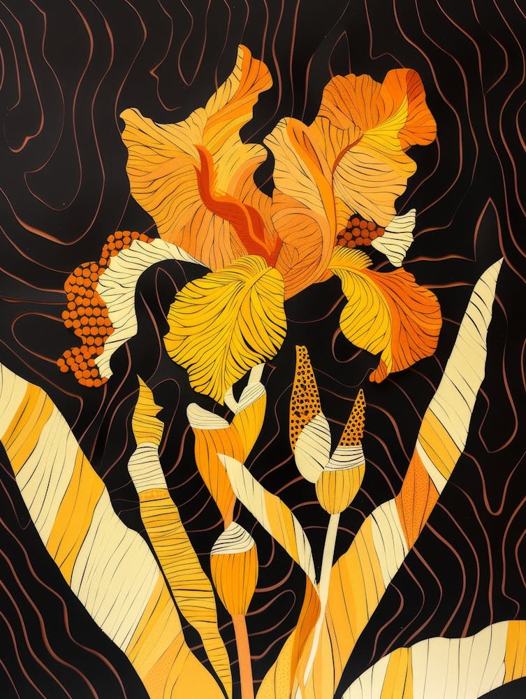 Orange Iris