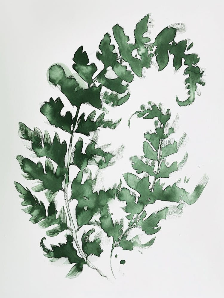 Green Ink Painting Of A Hares Foot Fern 3