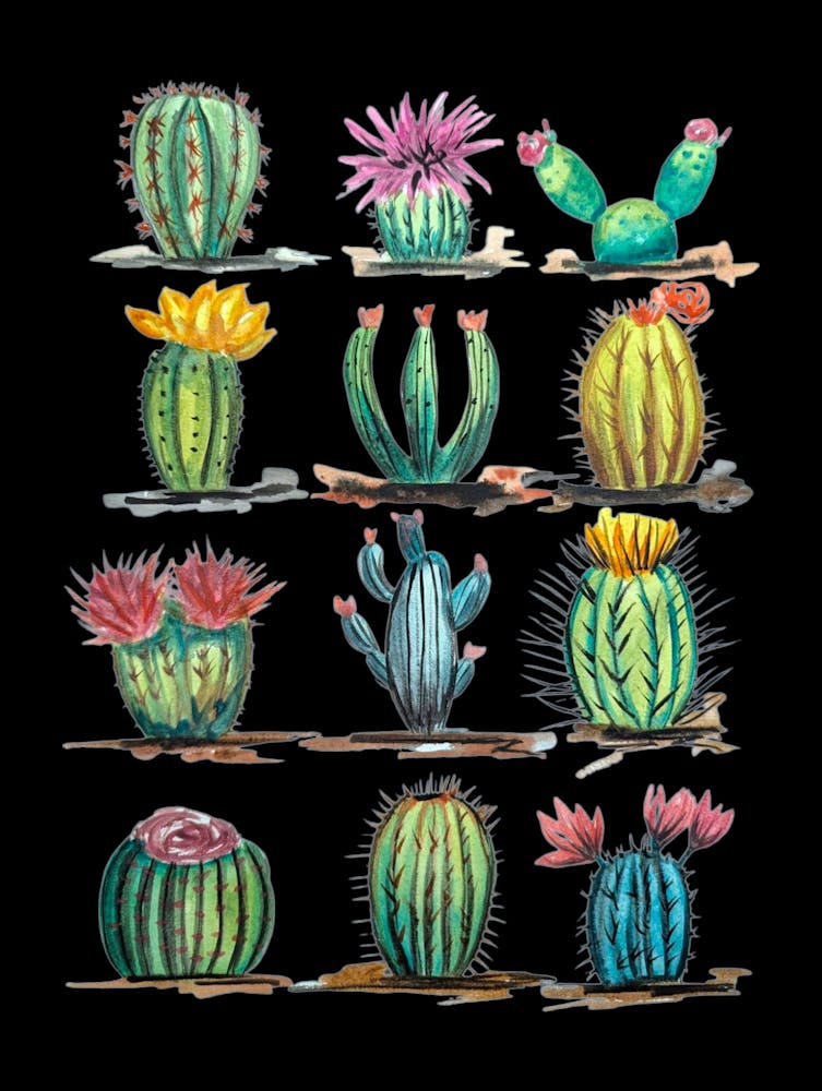 Cactus et Plantes Grasses Illustration Aquarelle Botanique Noir