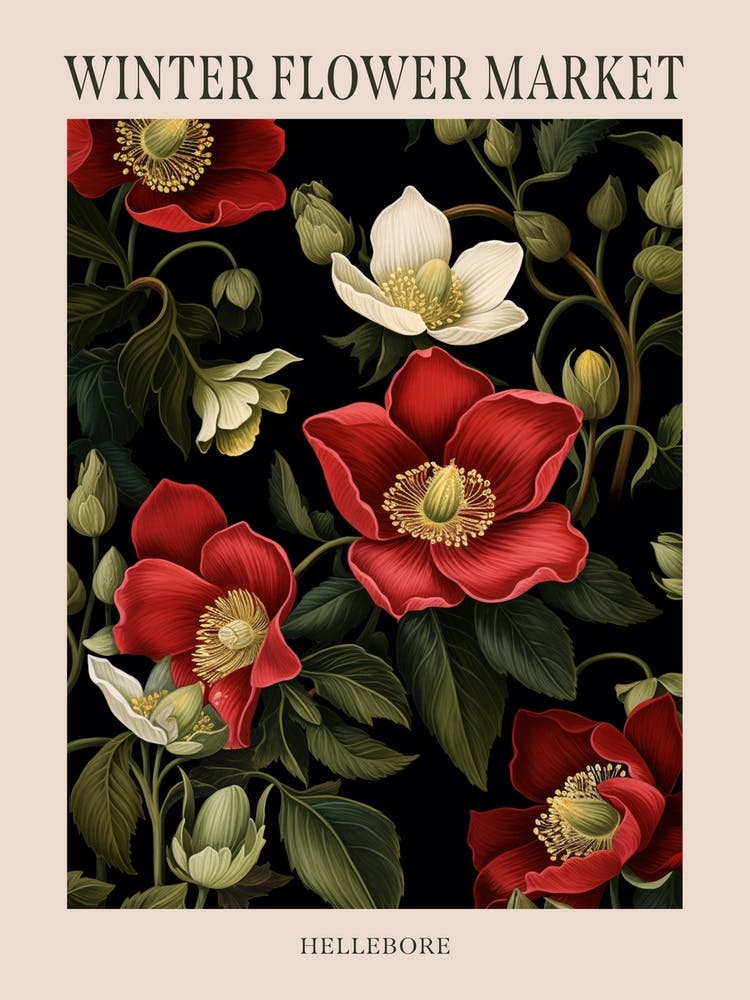 Hellebore 1 Winter Flower Market Poster