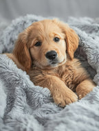 Golden Retriever Puppy. Generated AI. 2