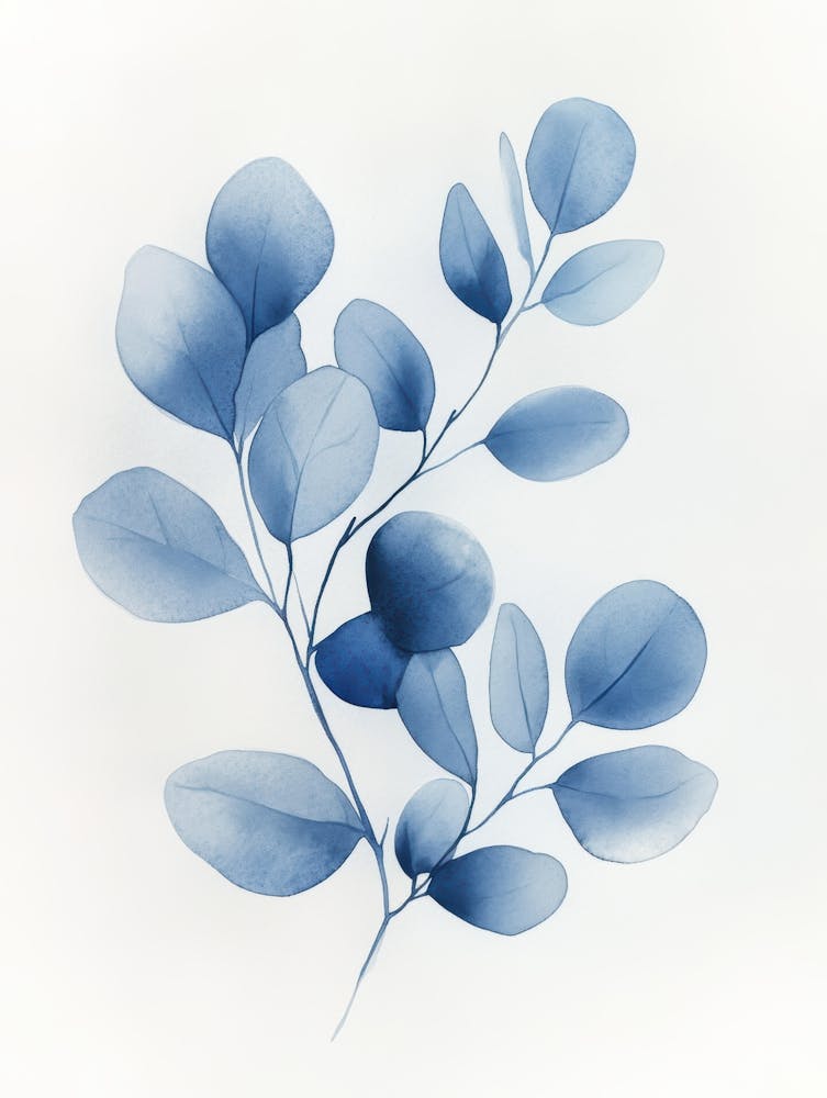 Eucalyptus Leaves 36