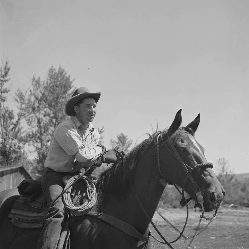 Untitled Photo, Possibly Related To Ola, Idaho, Cowboy Who Cares For Beef Cattle Of Members Of The Ola Self Help 1