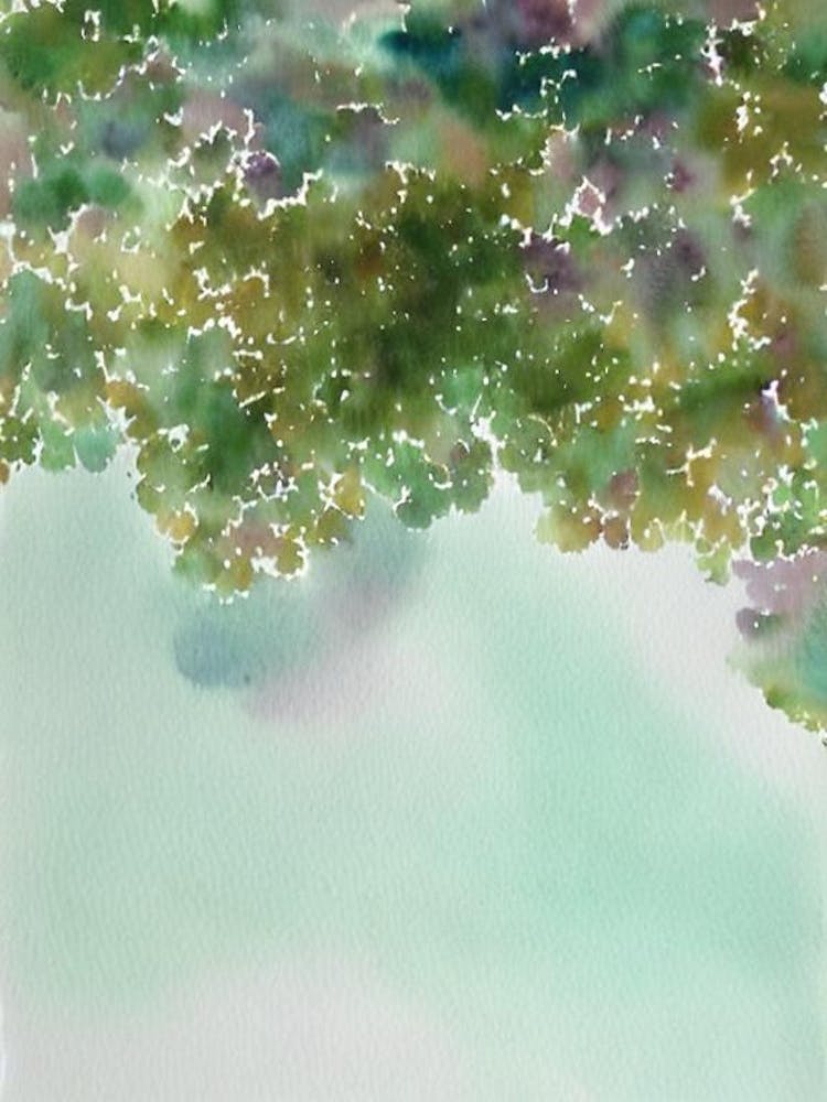 Acropora Yongei Ii Storybook Watercolour