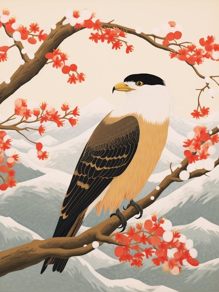Bird Illustration Crested Caracara 4