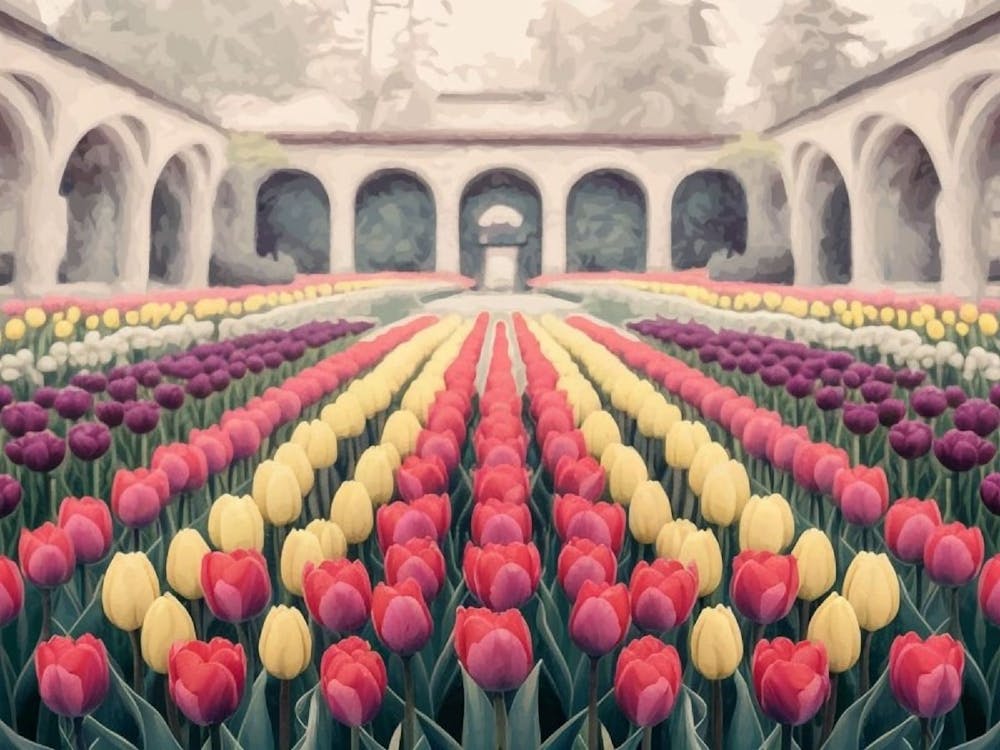 Elegant Tulip Array - Floral