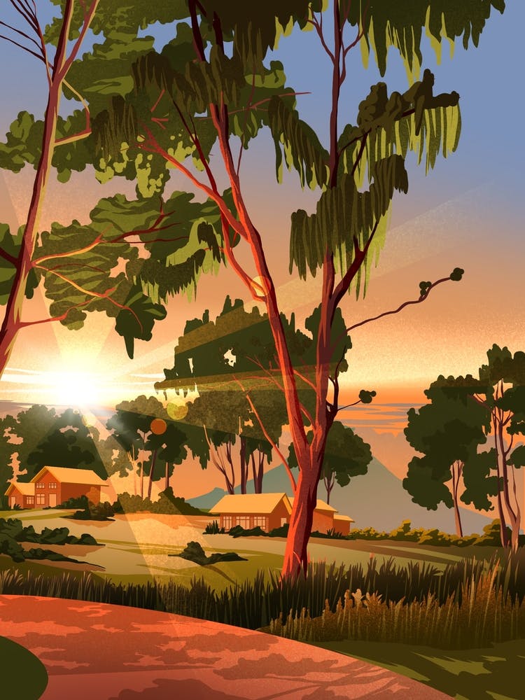 Sunset In The Countryside