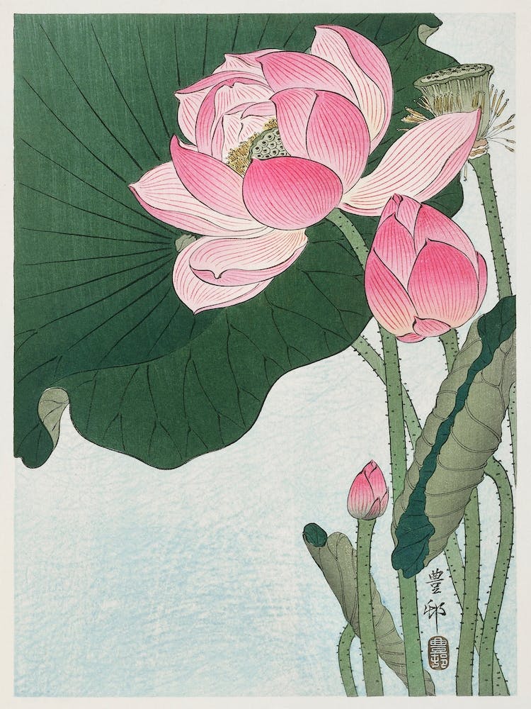 Blooming Lotus Flowers, Ohara Koson