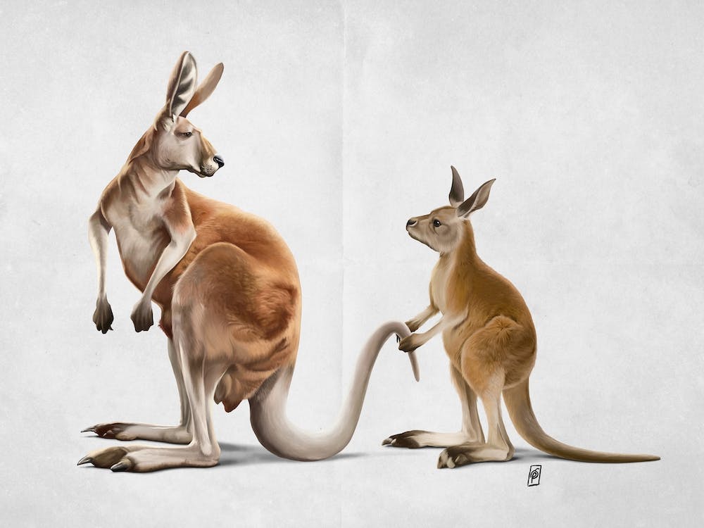 Being Tailed (Wordless)