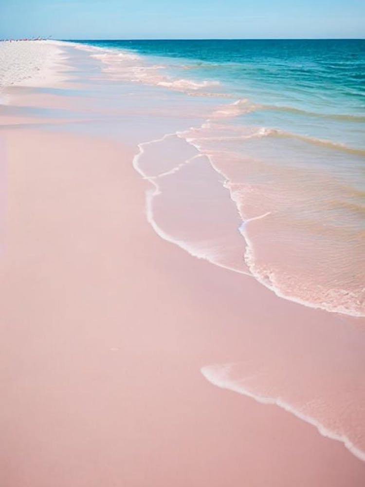 Gulf Shores Beach, Alabama Photographie Rose