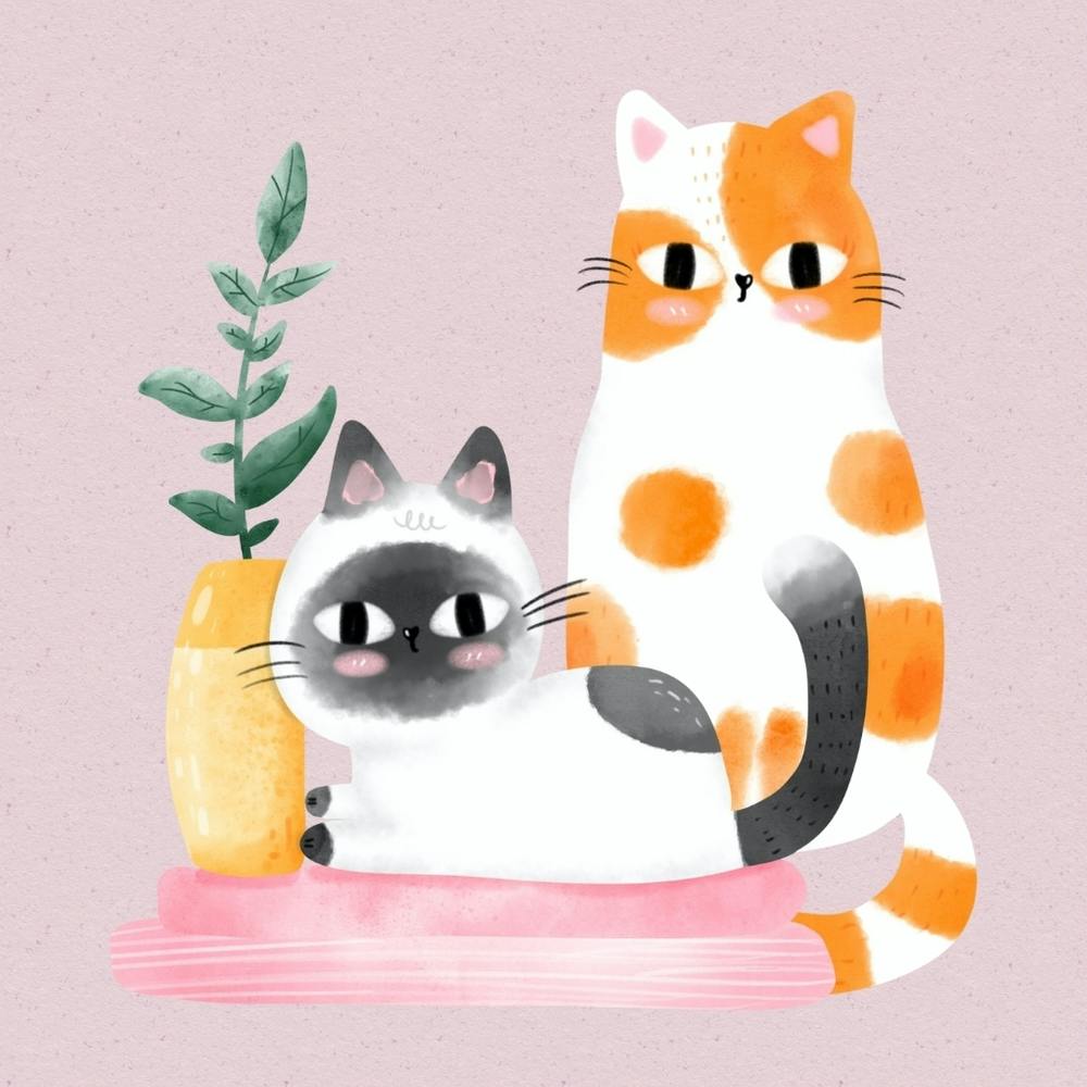 Two Cats And A Plant