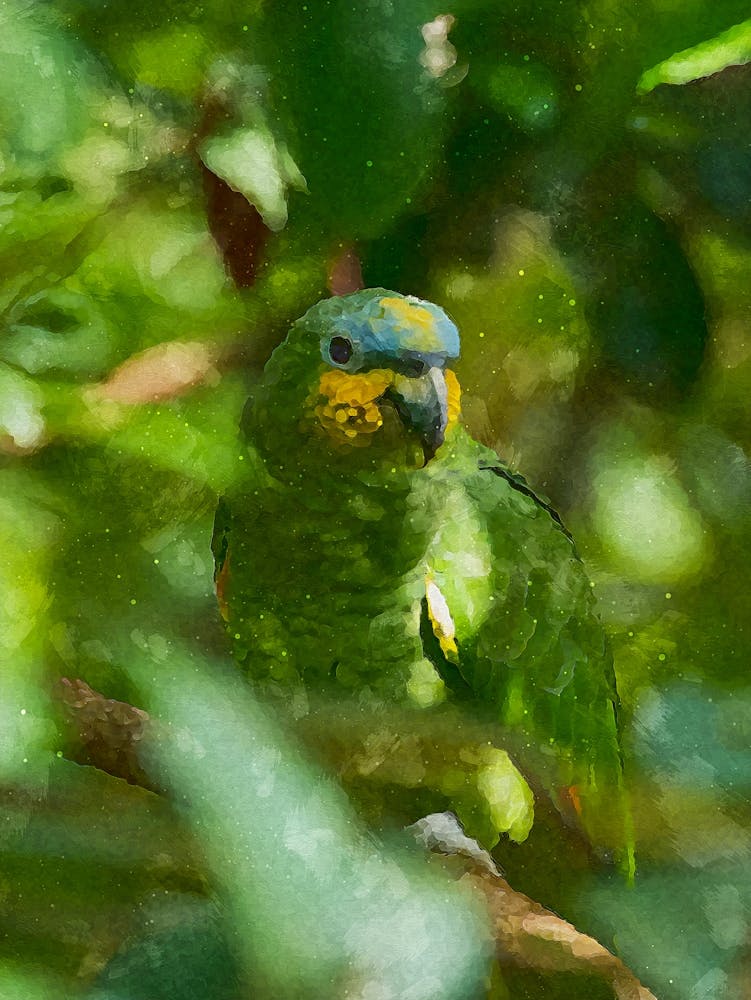 Parrot In Amazon Jungle