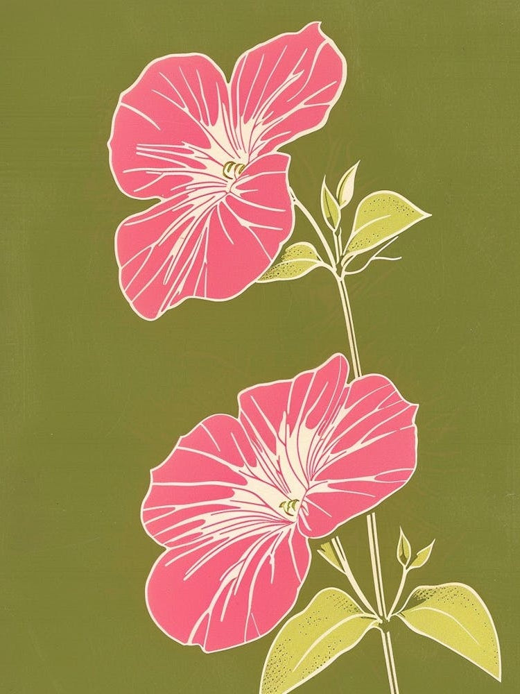 Pink & Green Impatiens 1