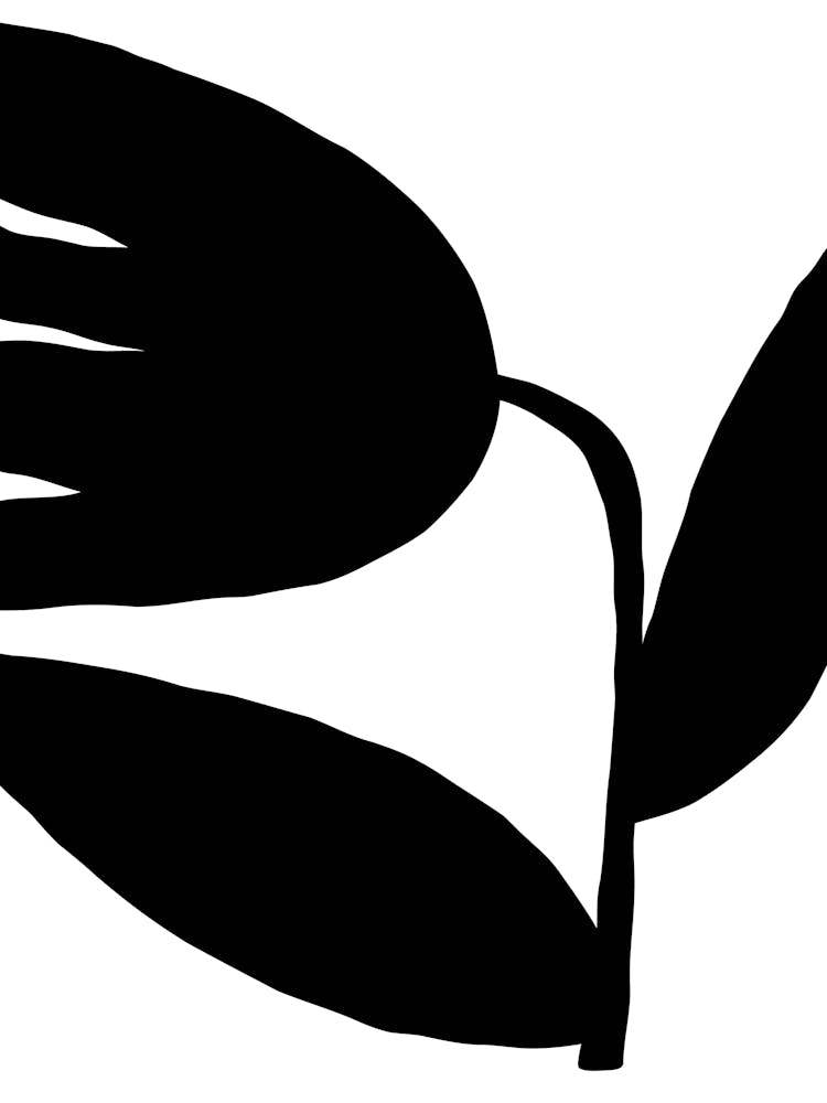 Delicate line no 5