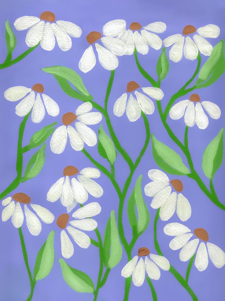 Dasies