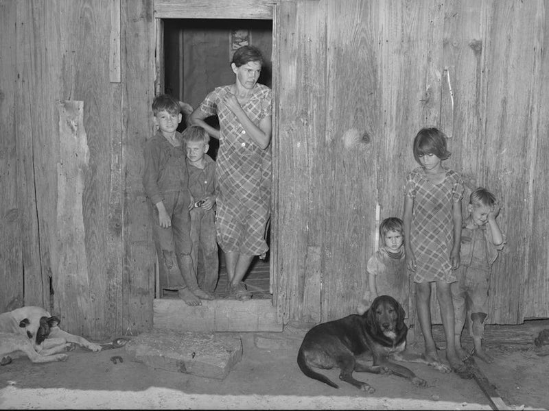Part Of Family Of Tenant Farmer Hill Section, Mcintosh County, Oklahoma By Russell Lee