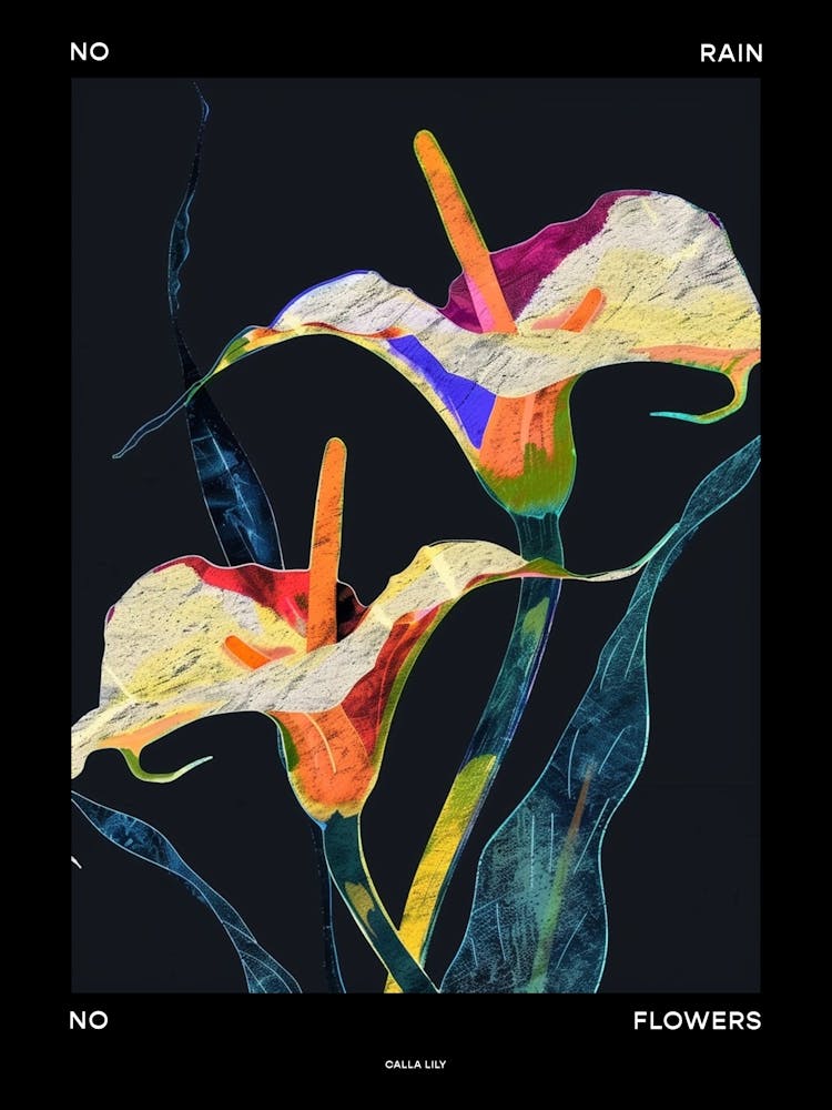 No Rain No Flowers Poster Calla Lily 2