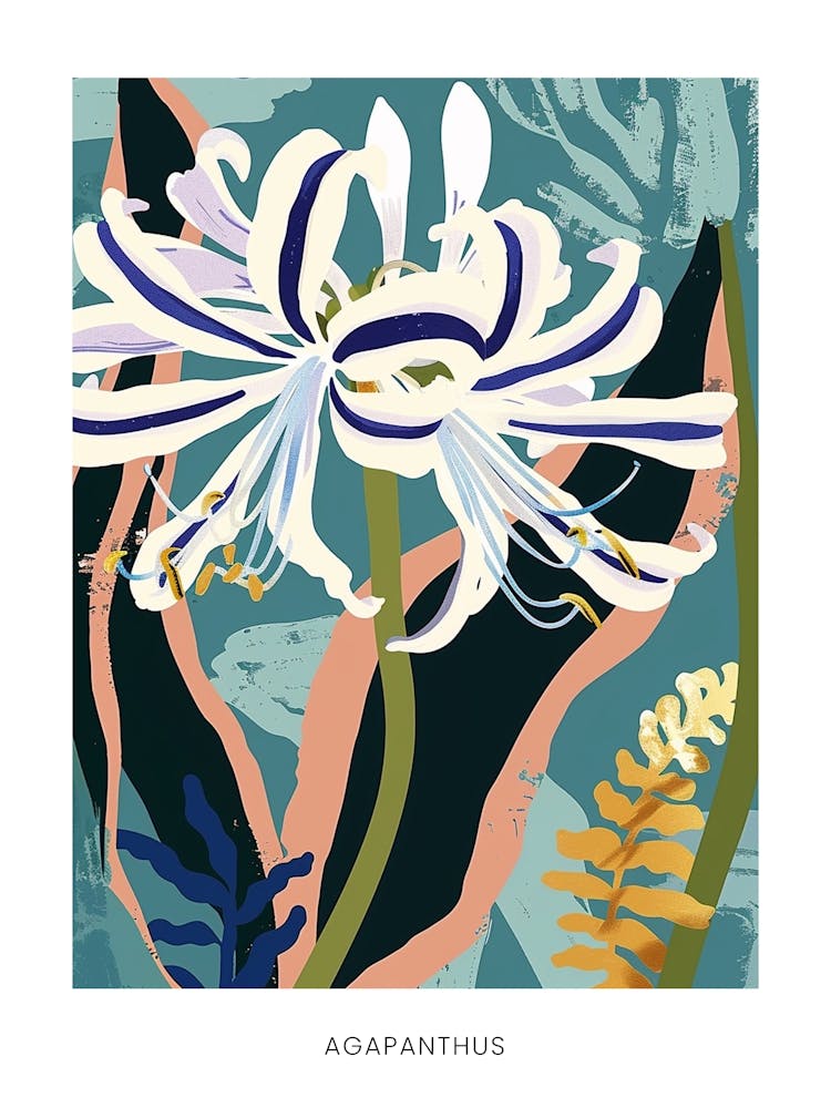 Colourful Flower Illustration Poster Agapanthus 4