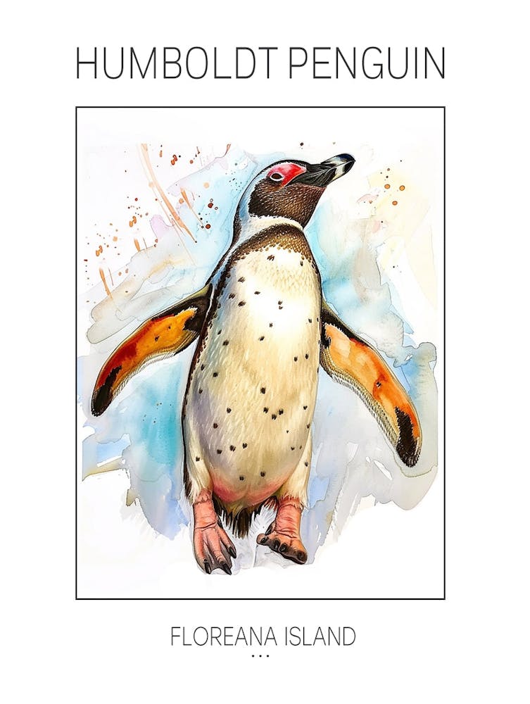 Manchot de Humboldt Île Floreana Peinture Aquarelle 2 Affiche