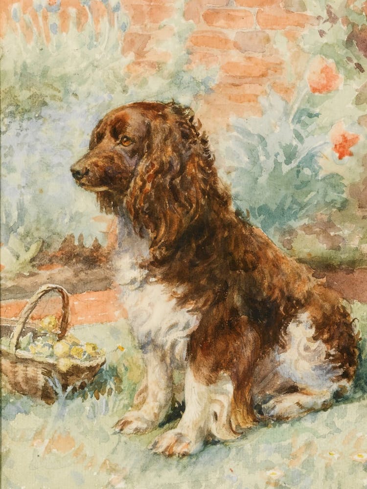 Spaniel In The Garden