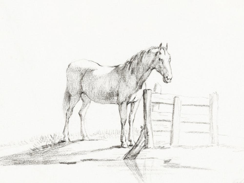 Standing Horse At A Fence, Jean Bernard