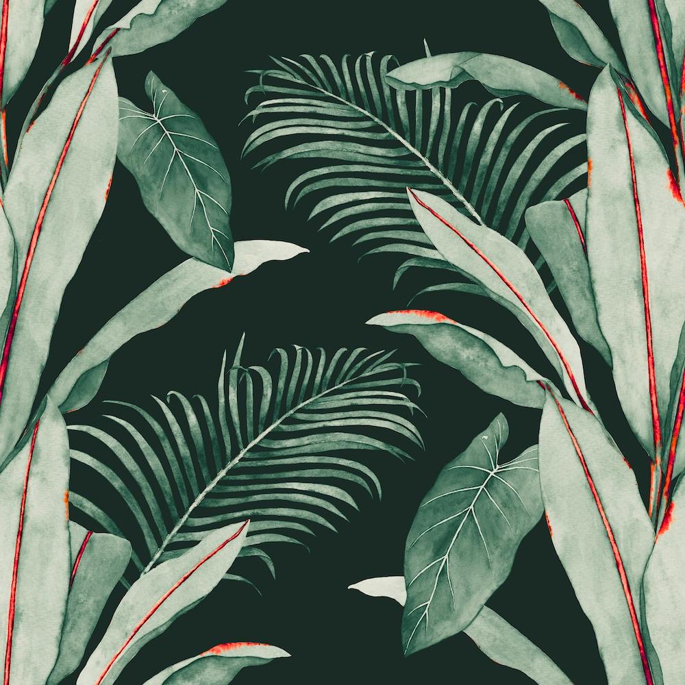 Banana Palm 1 Square