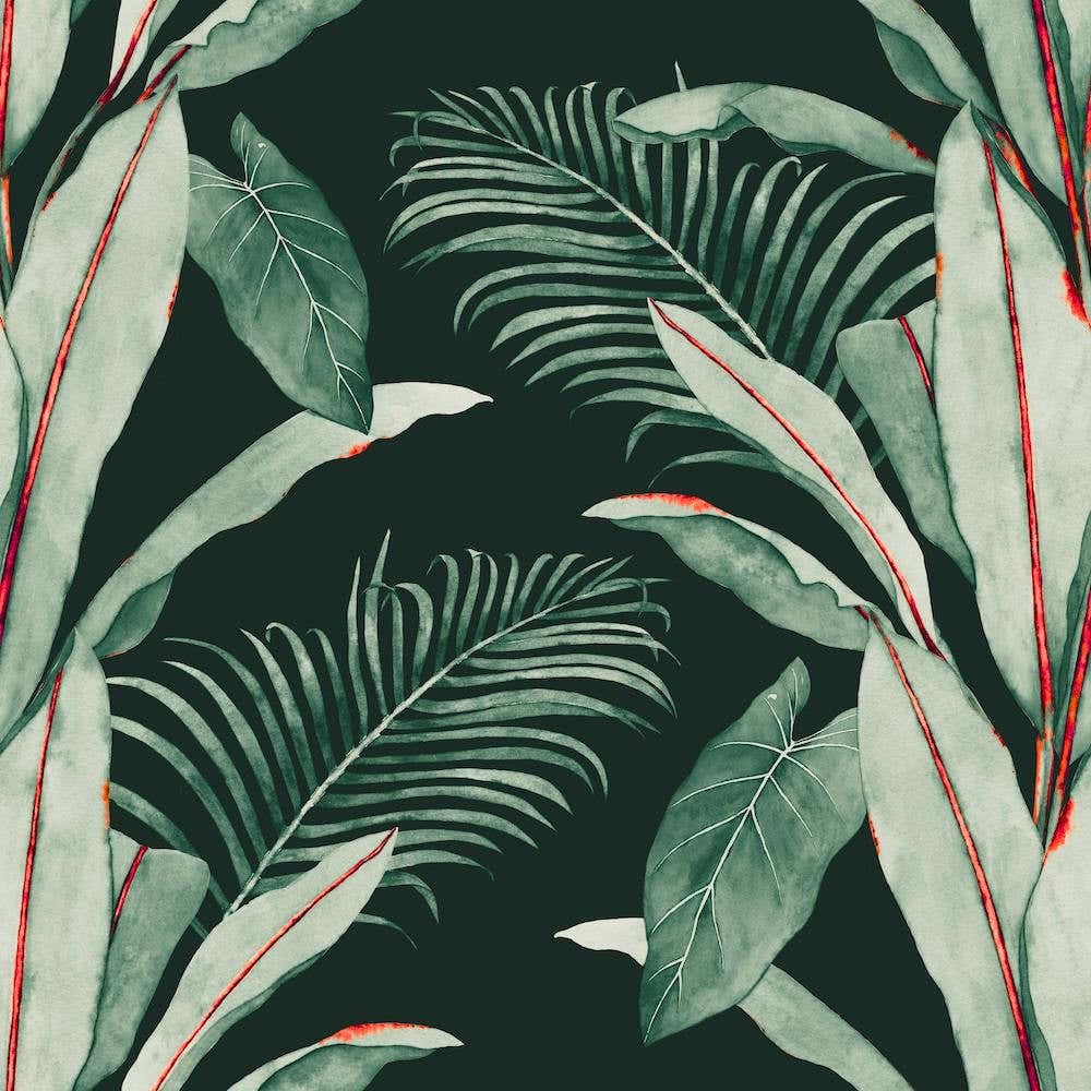 Banana Palm 1 Square