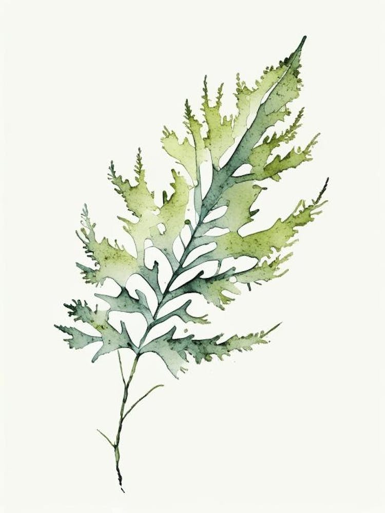 Feuille d'Absinthe Aquarelle Minimaliste 5