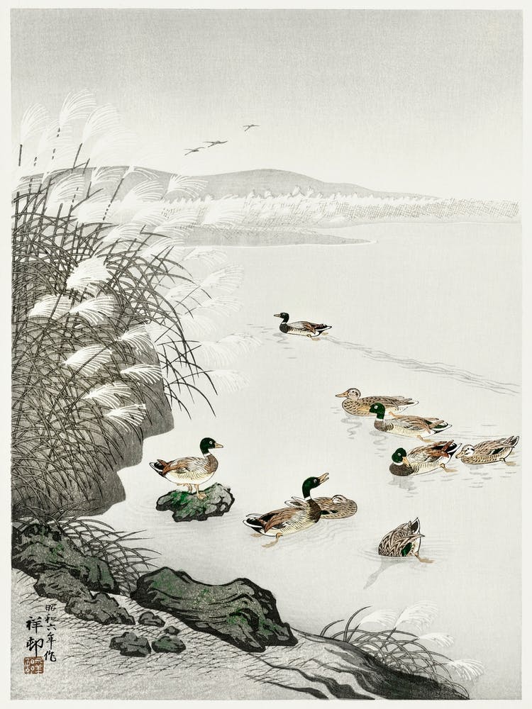 Ducks In The Water (1931), Ohara Koson