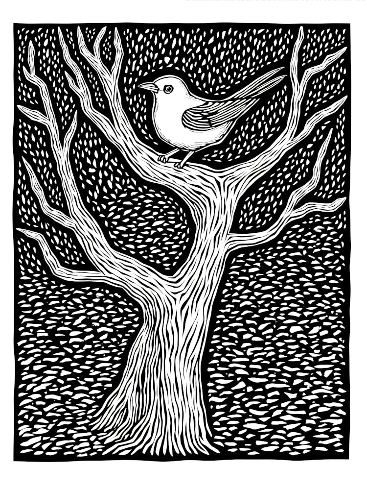 Bird In A Tree