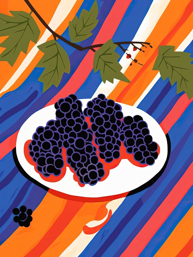 Elderberries Fruit Summer Illustration 2