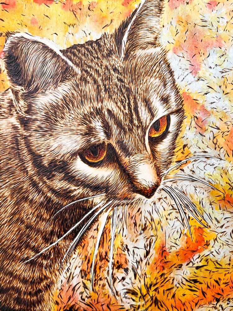 Gray Tabby Cat on Yellow and Orange