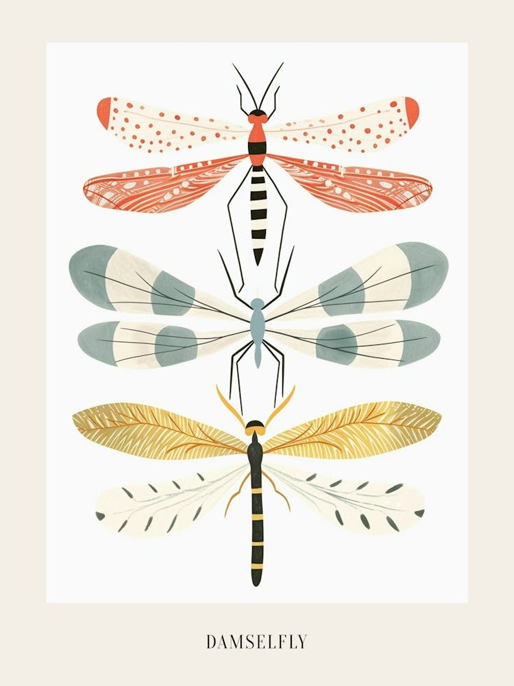 Colourful Insect Illustration Damselfly 11 Poster