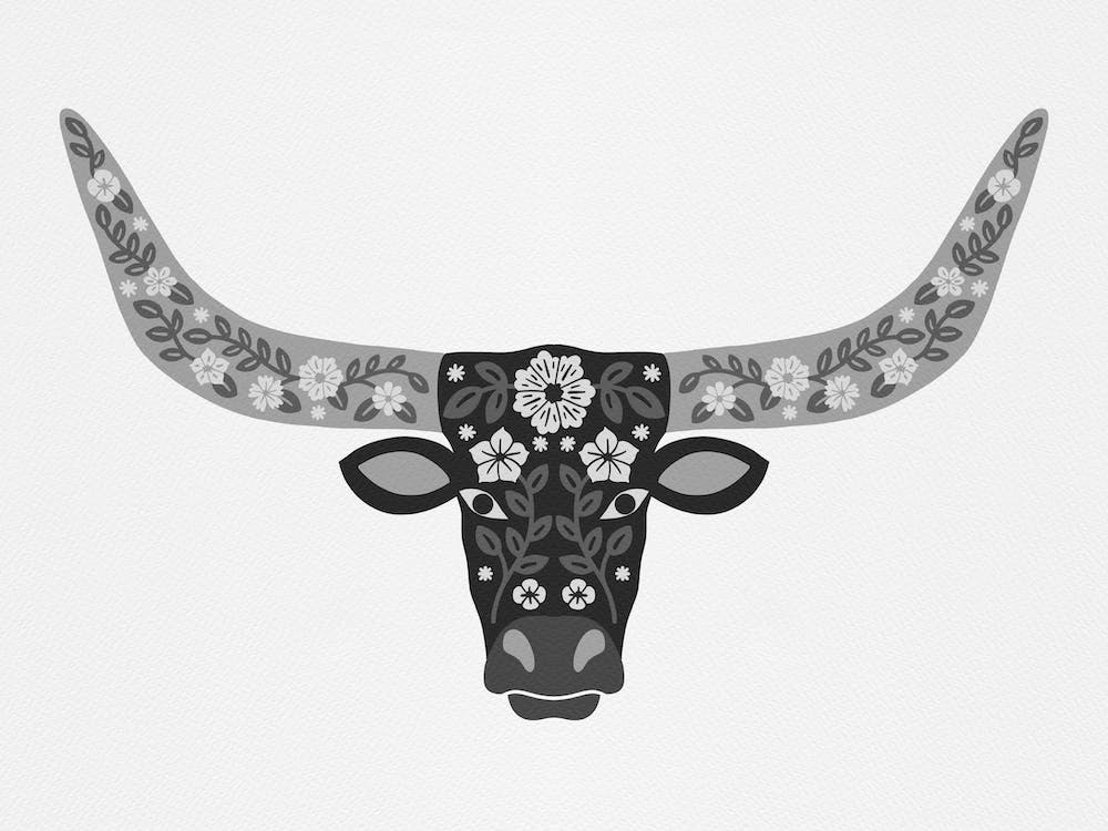 Floral Longhorn   Black And White