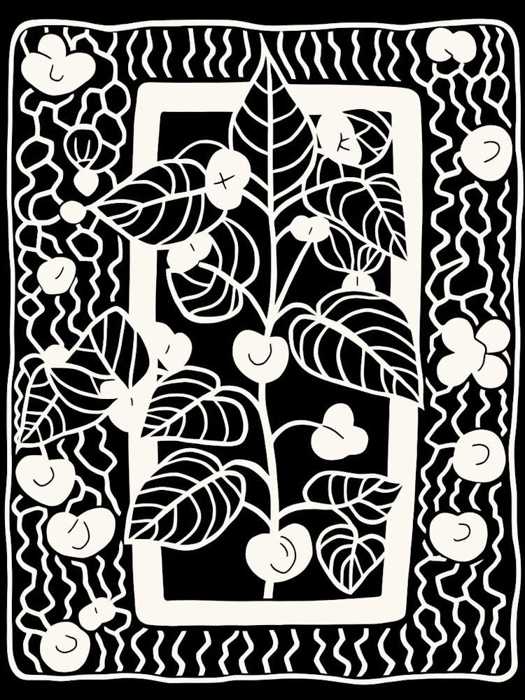 B&W Plant Illustration Hoya 3