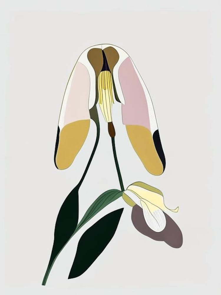 Lady's Slipper Wildflower Modern Muted Colours