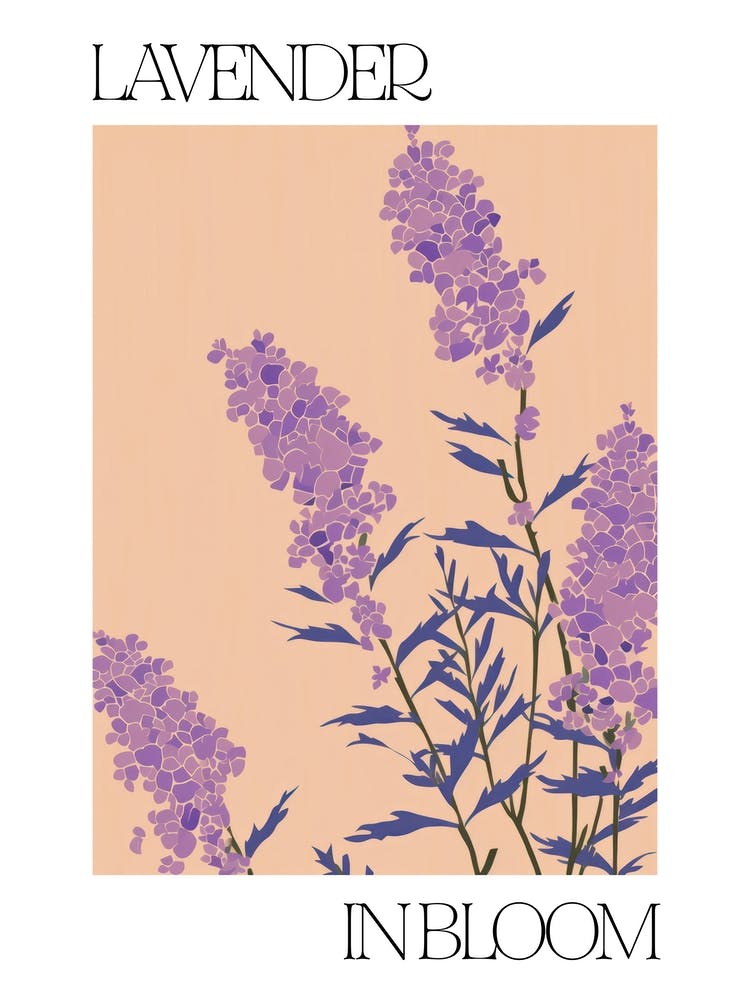 Lavender In Bloom Flowers Bold Illustration 3