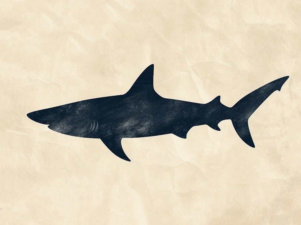 Angel Shark Silhouette 1