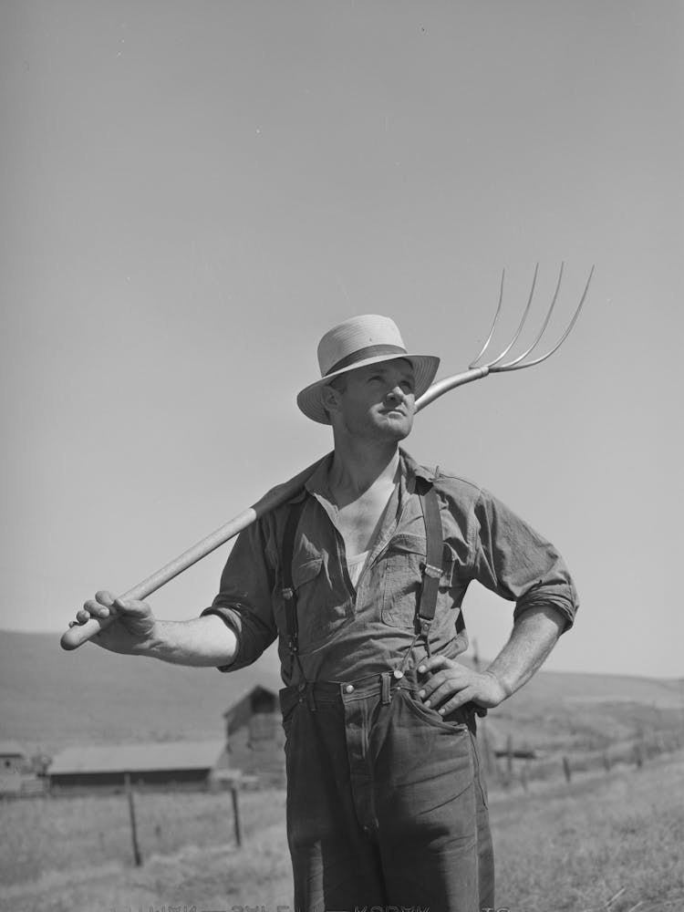 Untitled Photo, Possibly Related To Wheat Farmer, Whitman County, Washington, This Farmer Is Not Typical O