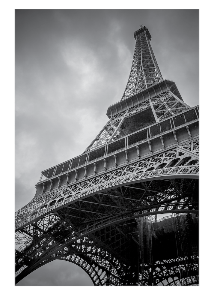 Eiffel Tower Paris Gray White Picture