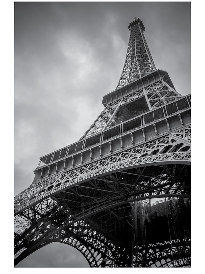 Eiffel Tower Paris Gray White Picture