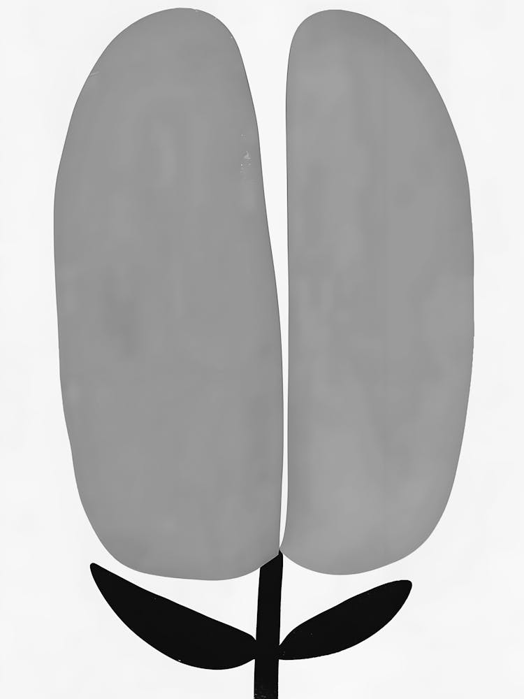Tulip 3