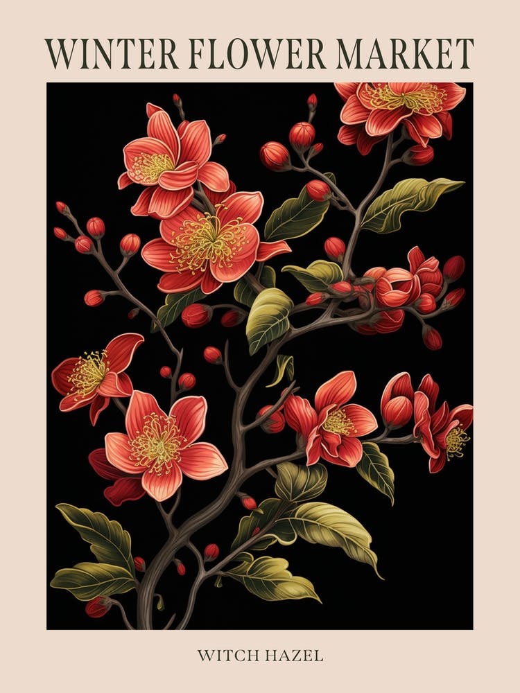 Zaubernuss 4 Winter Blumenmarkt Plakat