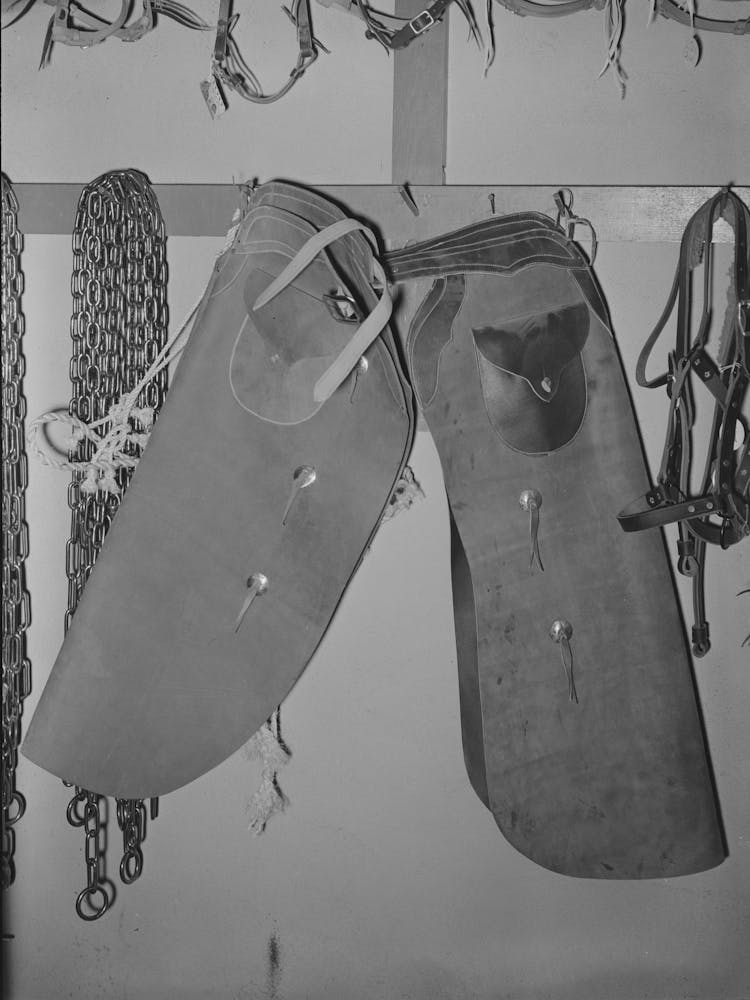 Cowboy Chaps In Ranch Supply Store, Alpine, Texas By Russell Lee