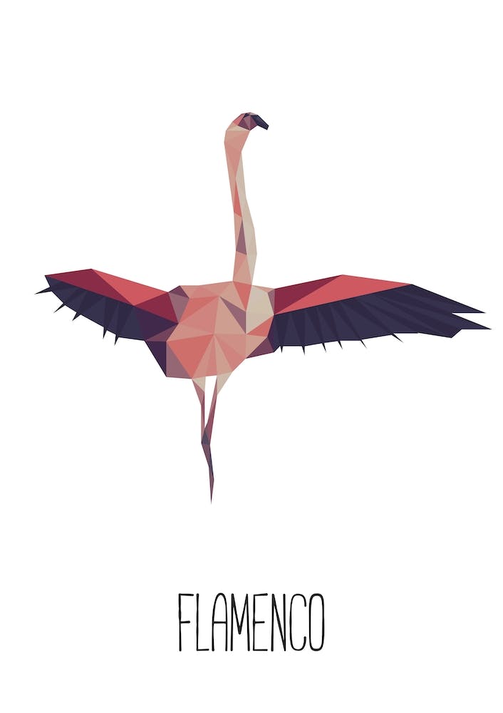 Flamenco