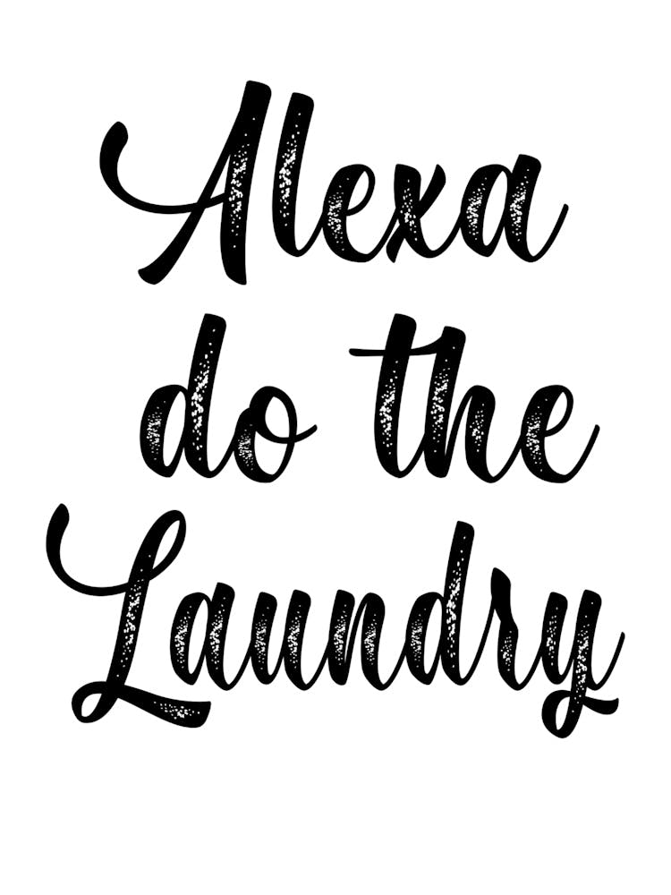 Alexa Do The Laundry 1